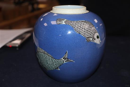 A Chinese powder blue and ground fish jar, 19th century